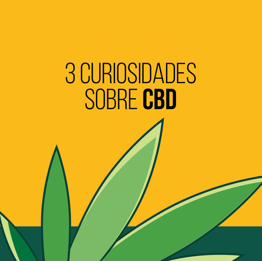 3 Curiosidades sobre CBD