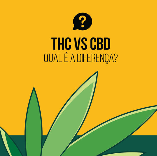 THC vs CBD Qual é a diferença?