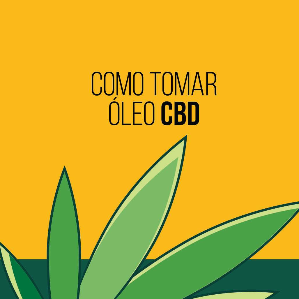 Como tomar Óleo CBD