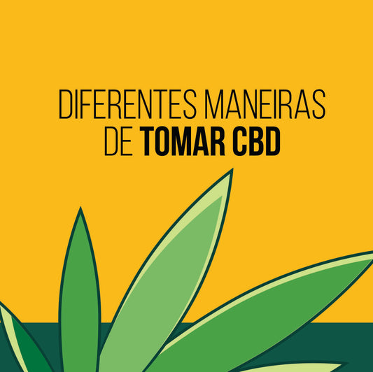 Diferentes maneiras de tomar CBD