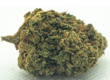 Flor de CBD - Jack Herer