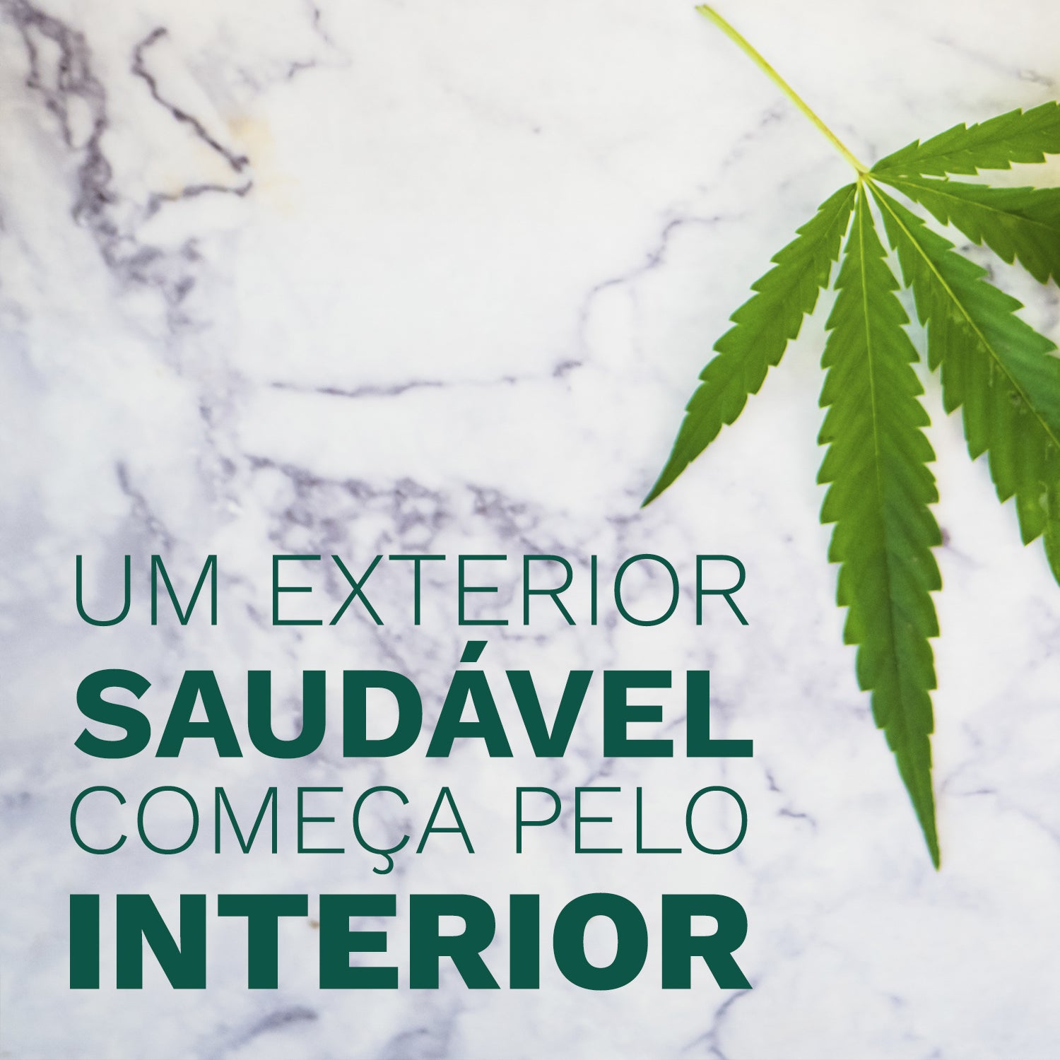 Um exterior saudável começa pelo interior